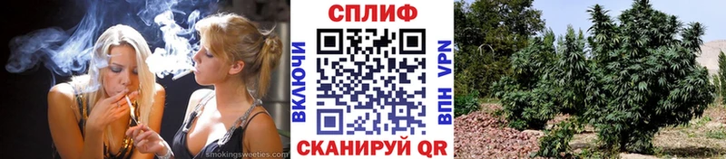 Марихуана Amnesia  купить закладку  Екатеринбург 